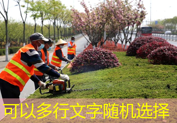江南·体育官方网站登录，网球拍档保护贴怎么贴