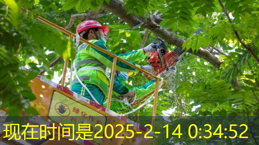 JN江南·体育，为什么网球拍寄不了了呀