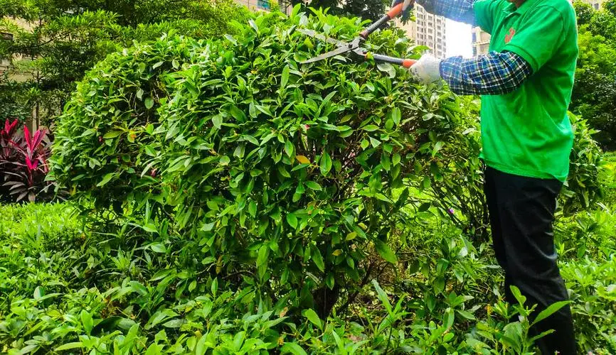 JN江南·体育，麻花手柄网球拍怎么用的