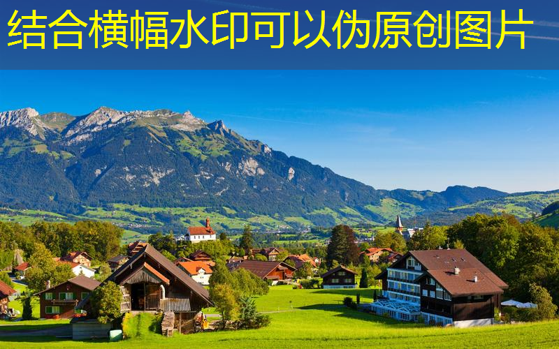 <strong>jn江南官方体育，白宝莉网球拍价格表</strong>