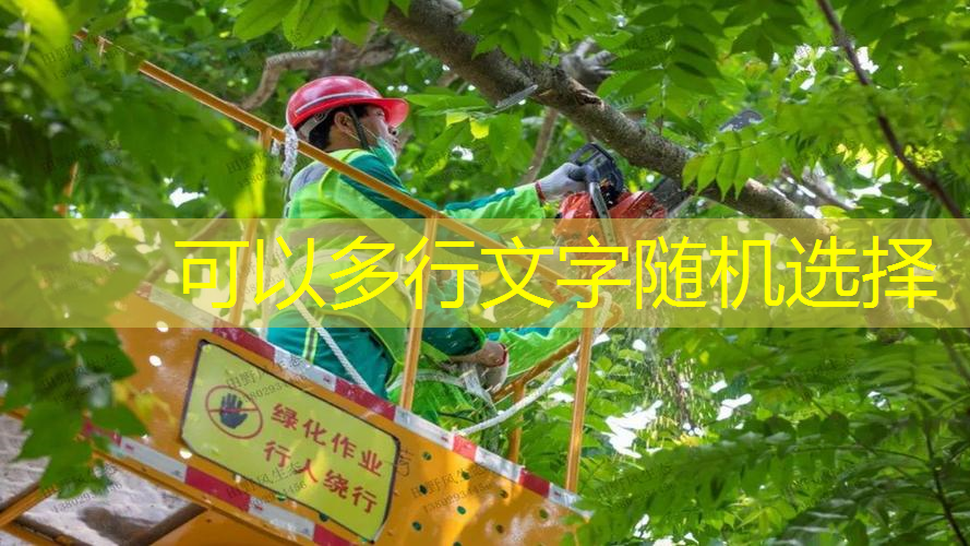 百宝力网球拍哪制造