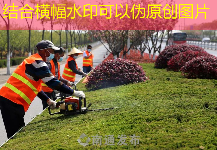 底线网前好的网球拍