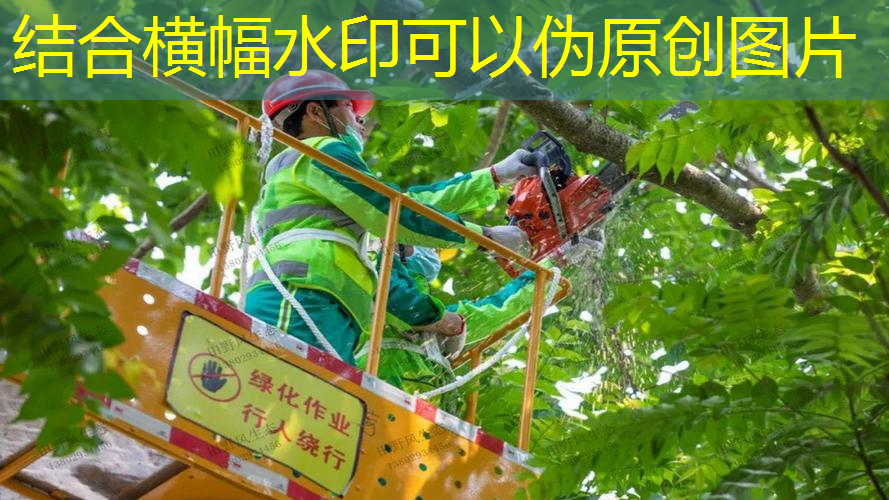 为什么网球拍寄不了了呀