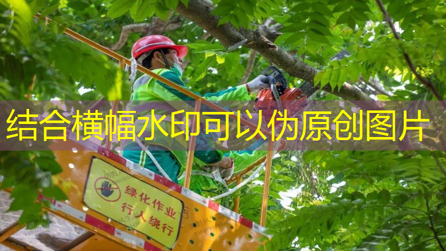 网球拍当礼物可以吗_
