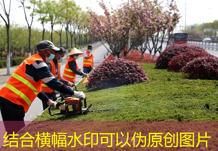 适合初学者使用的网球拍