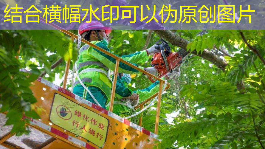 选儿童网球拍怎么选择尺码