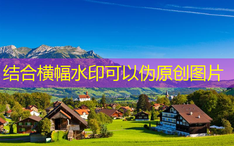 网球拍高端拍子怎么选尺寸
