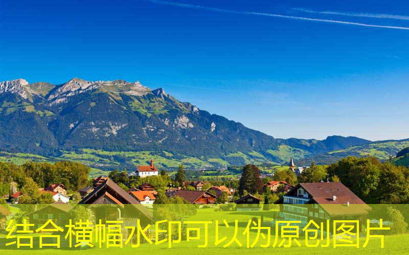 迪卡侬网球拍选择哪款好