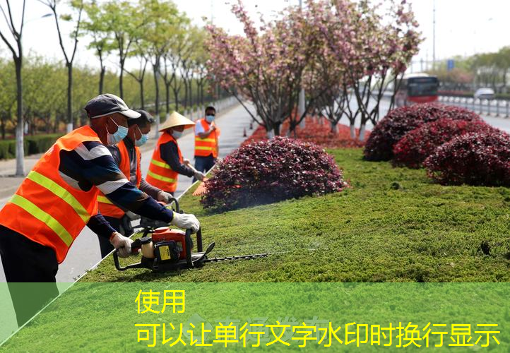 网球拍拉线价格表图