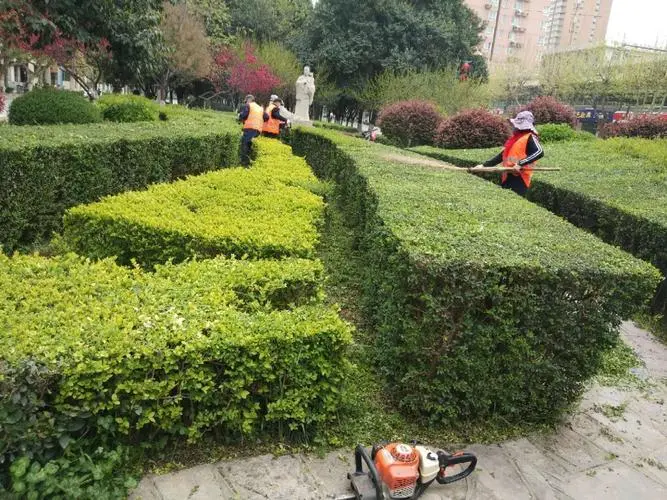 泰尼菲网球拍怎么样