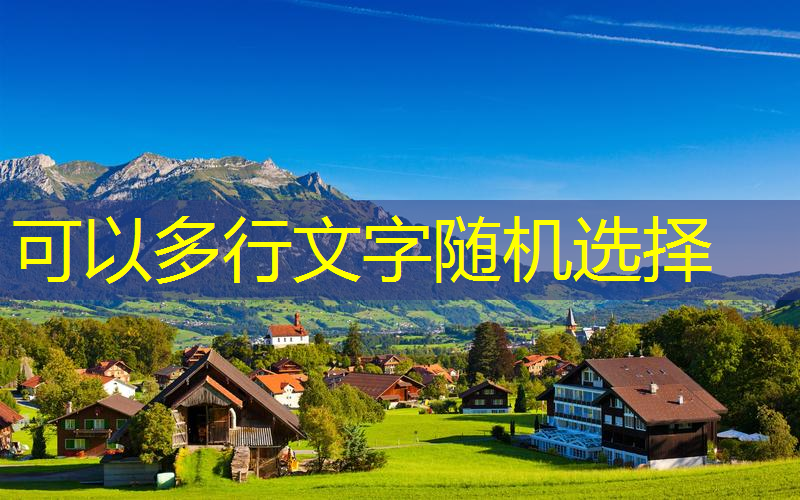 白宝莉网球拍价格表